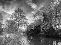 Roots and Branches  This is from a spot right down at warer level, not far away from where “The Water-Wall” (also in this exhibition) was taken. It was shot only a few days later on another flat calm day. The River can be quite busy with pleasure boats through the summer and autumn, meaning that winter and spring are often unparalleled for still water and reflections. £210